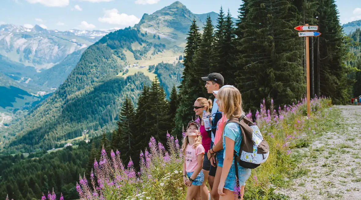 A family admire the view across the valley from high in the mountains, with sunshine, pine trees and colourful flowers on display