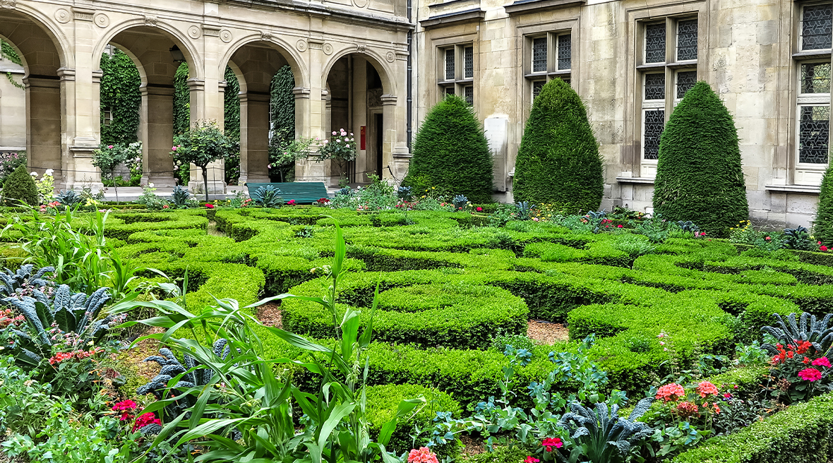 Ornamental hedges and bushes in a courtyard, Musée Carnavalet, Paris