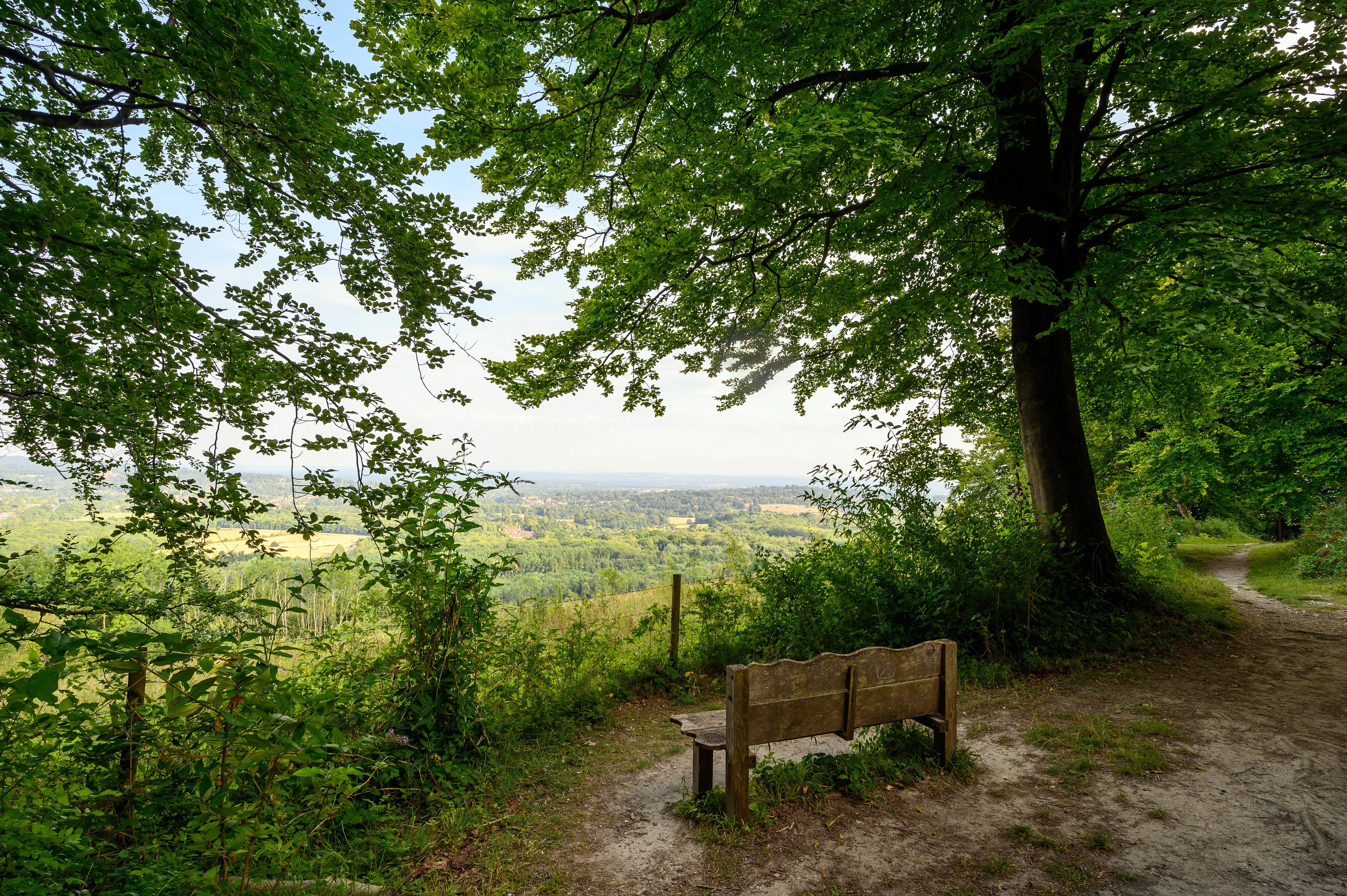Un point de vue le long du North Down Way.