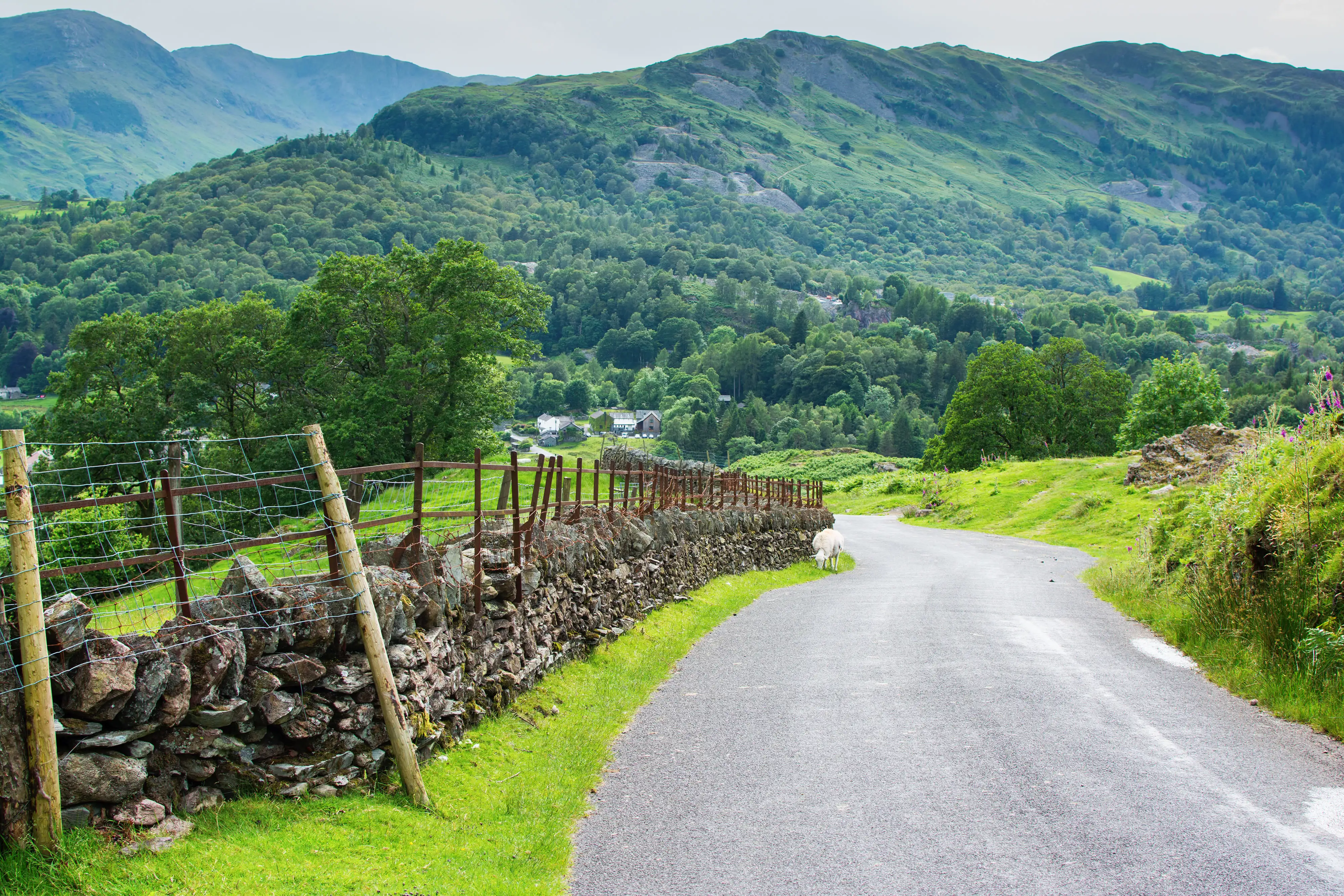 Vue sur une montagne du parc national du Lake District en Angleterre, depuis une route sinueuse bordée d’un mur en pierre.