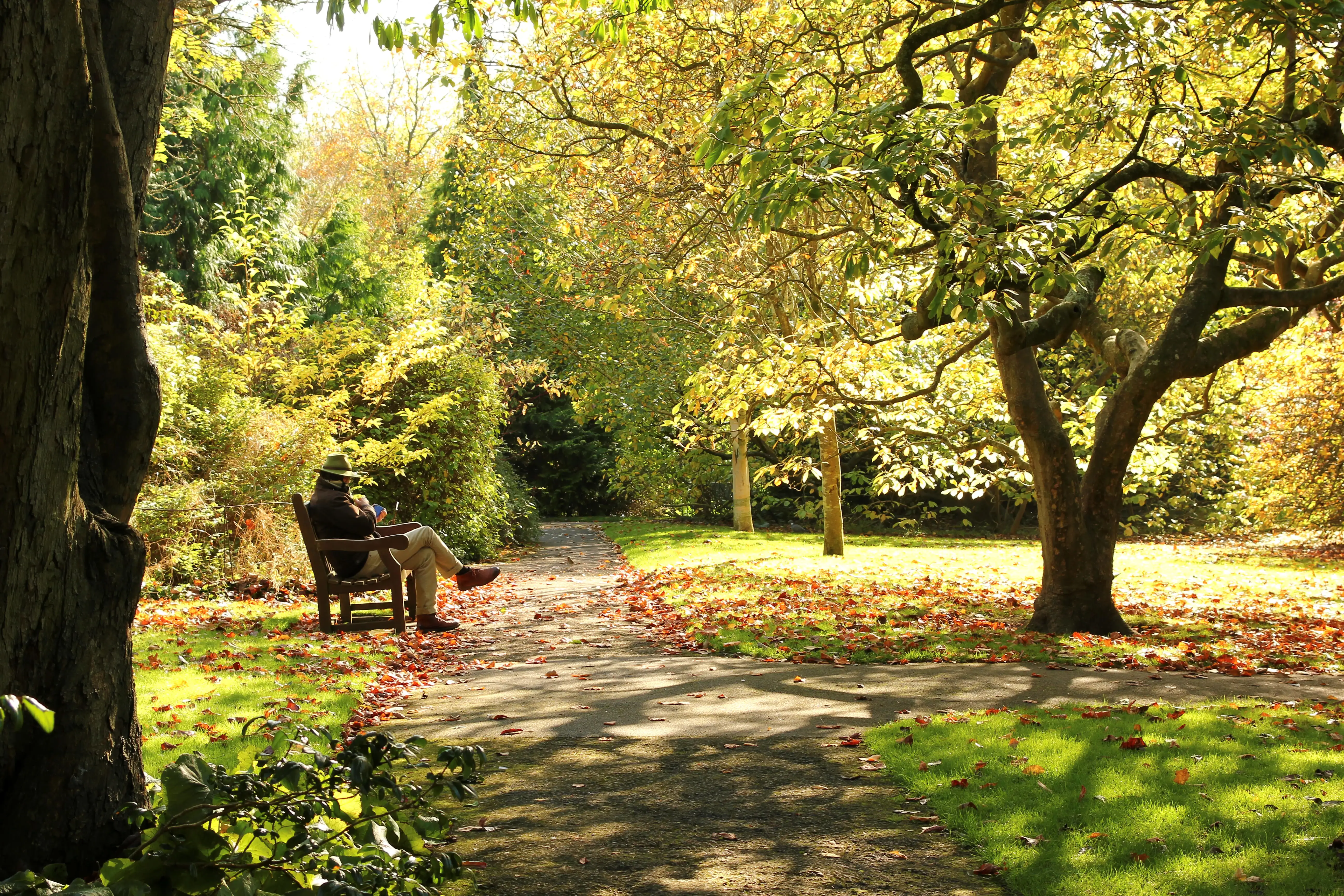 Een man zit op een bankje in Royal Victoria Park, omringd door weelderige groene bomen en struiken en rode herfstbladeren op de grond.