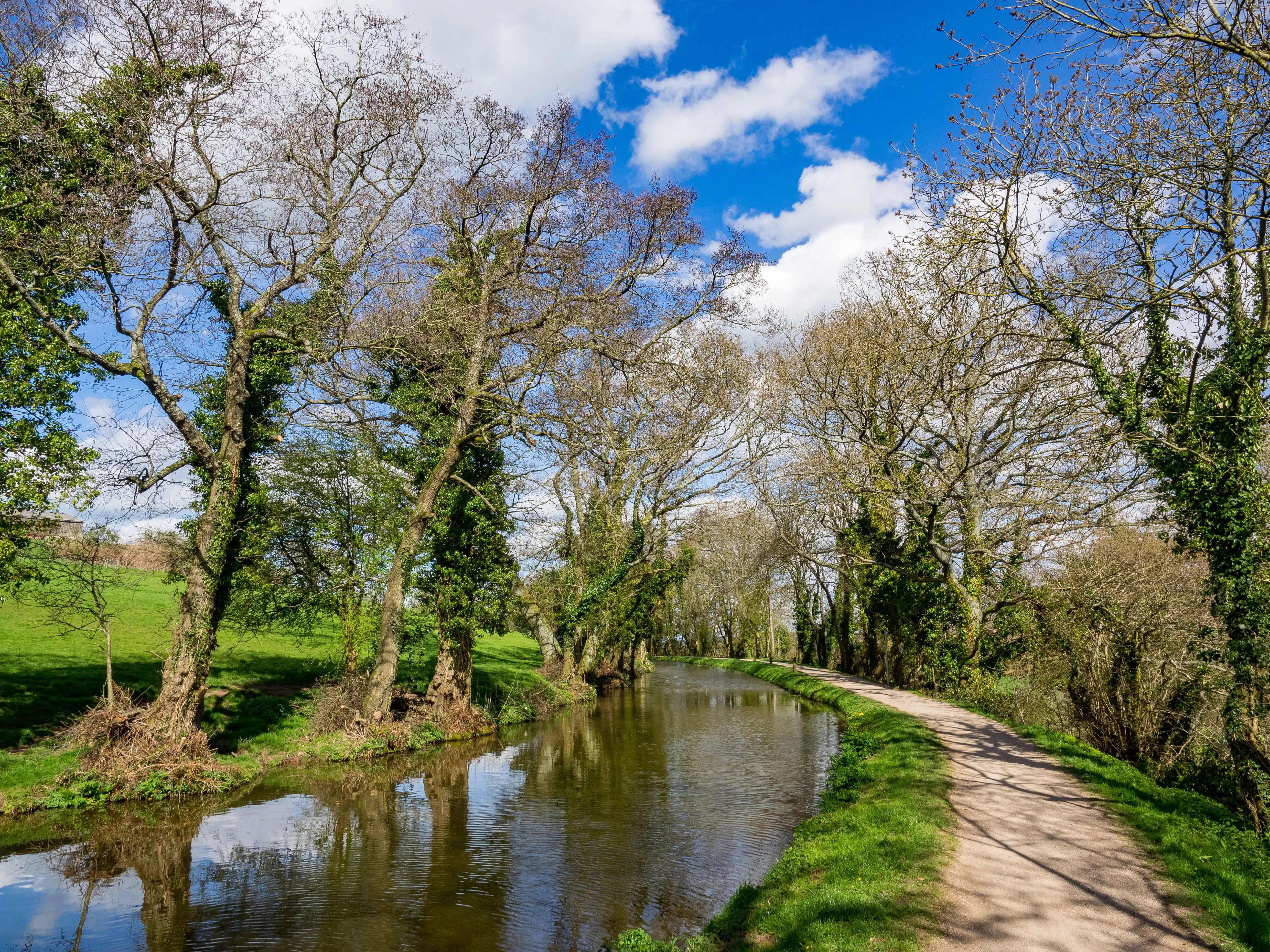 Het trekpad langs het Monmouthshire and Brecon-kanaal op een heldere dag, met kale bomen langs het pad.