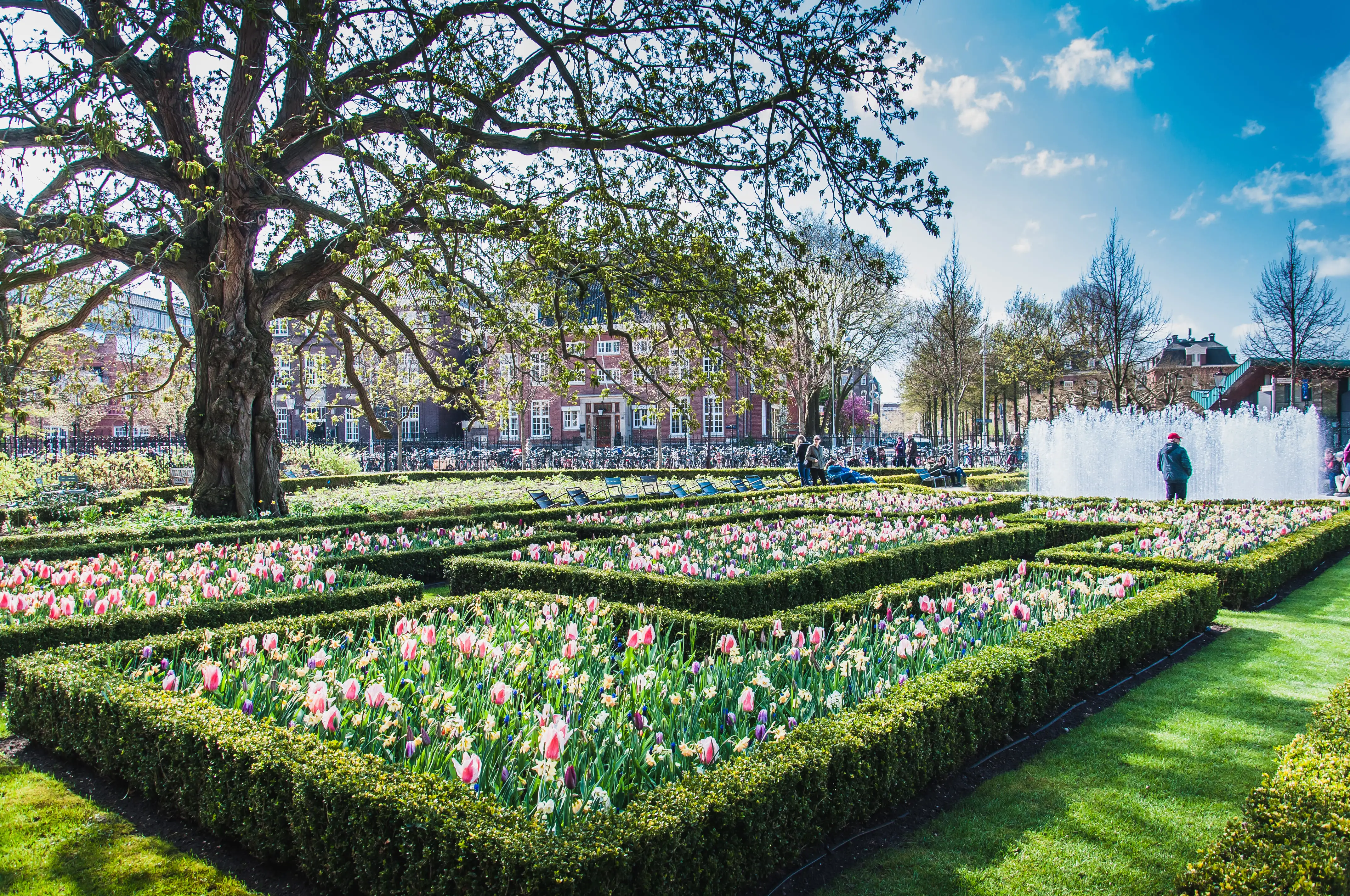 Public gardens at the Rijksmuseum, Amsterdam