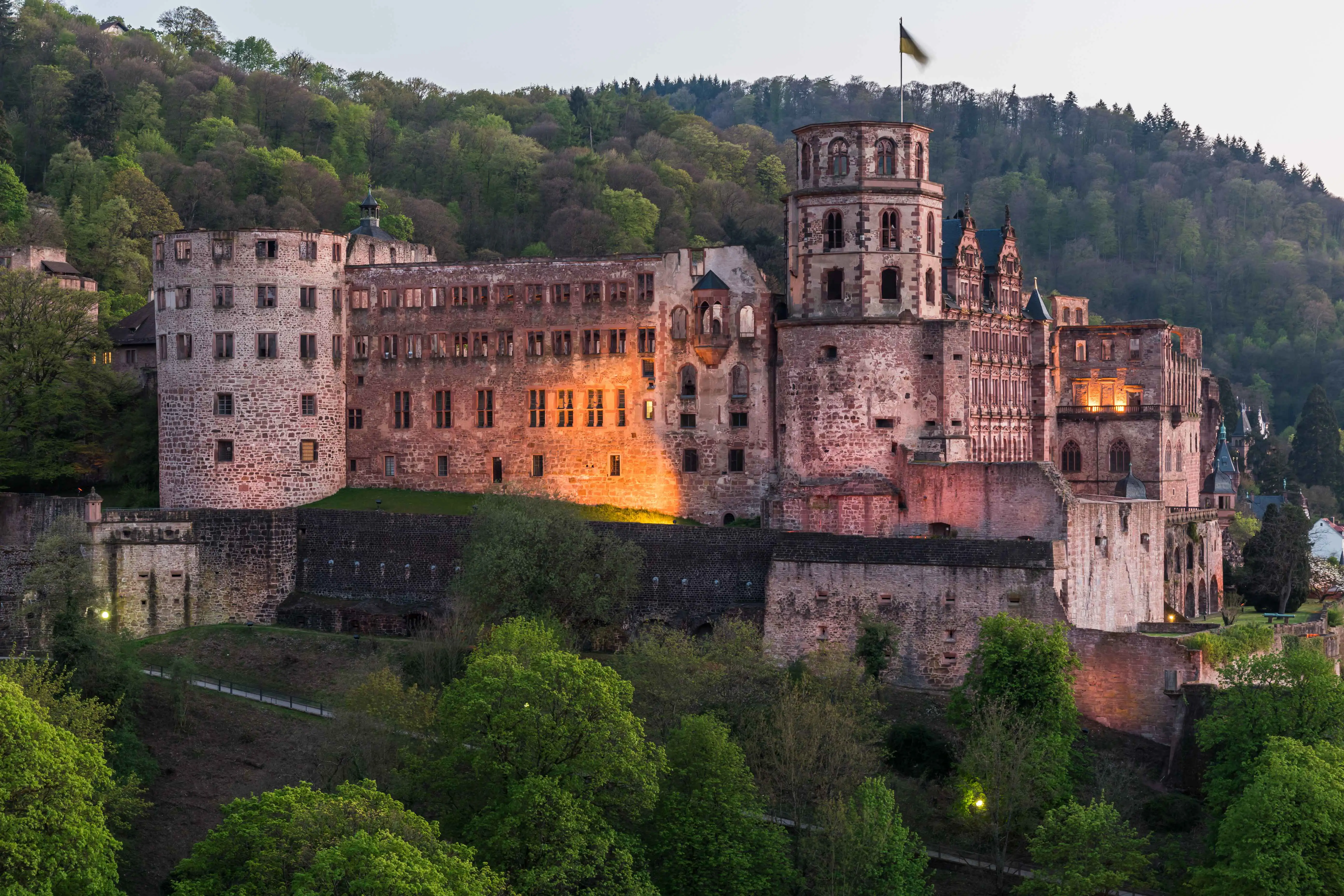 Heidelberg castle on a wooded hillside