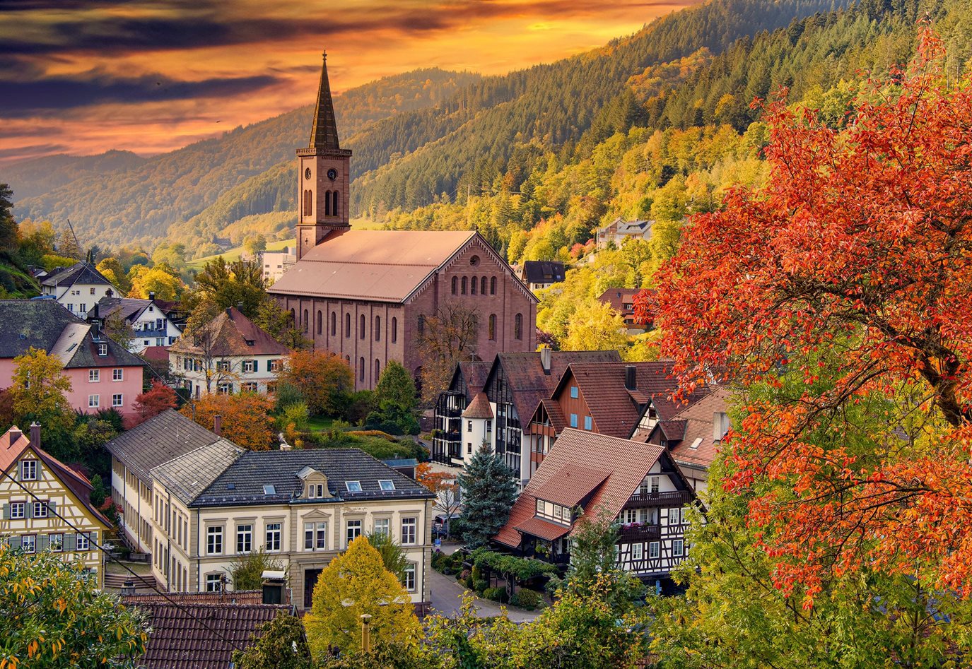 Autumn in the Black Forest