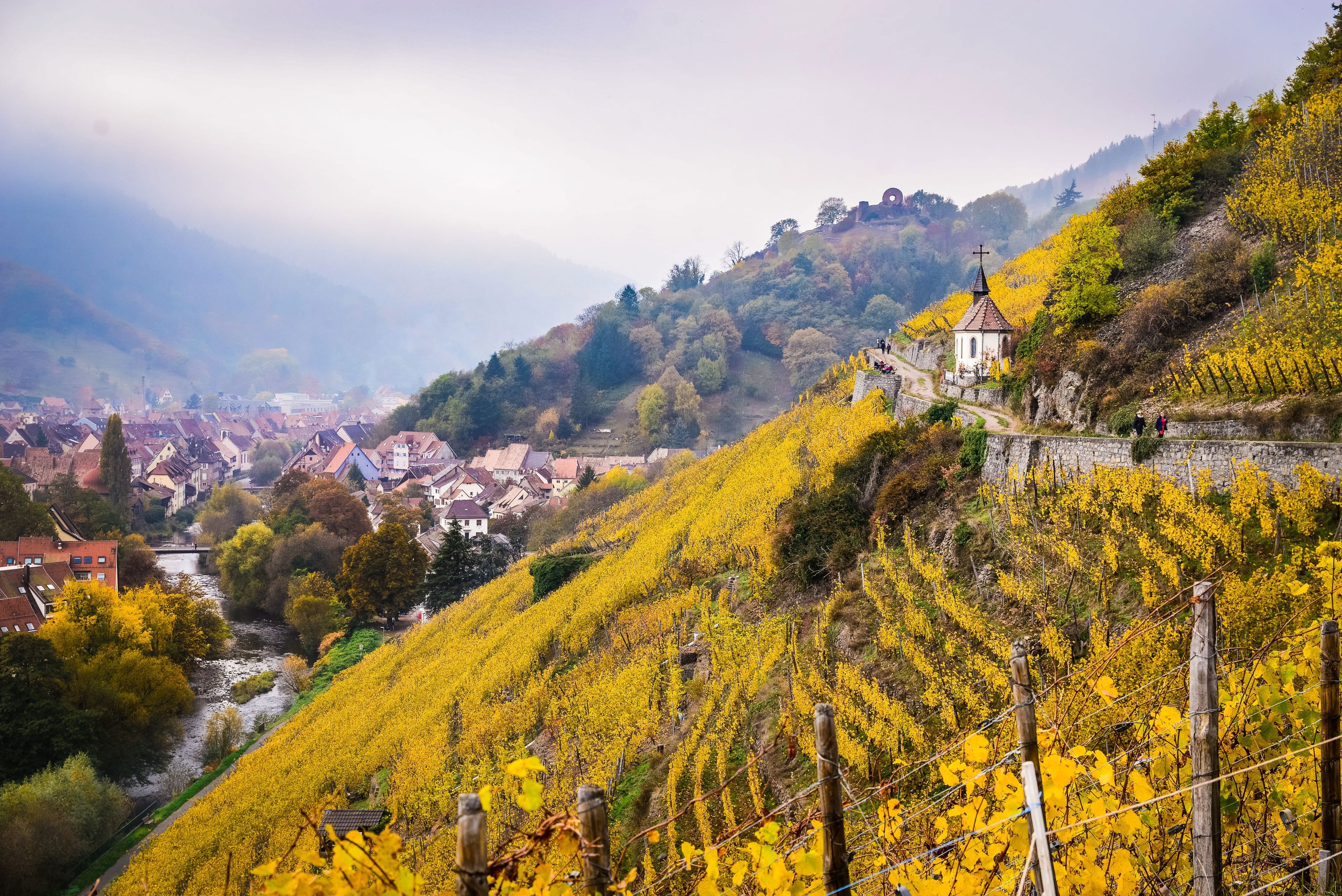 Steep sided vines and a chapel overlooking a town and river, with mist hanging in the valley