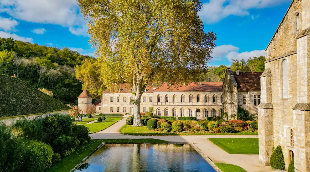 Fontenay Abbey with a reflecting pool and a large autumn tree on a sunny day