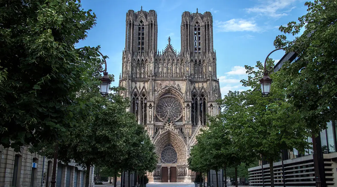 green trees lining the road leading to the grand notre dame cathedral Riems