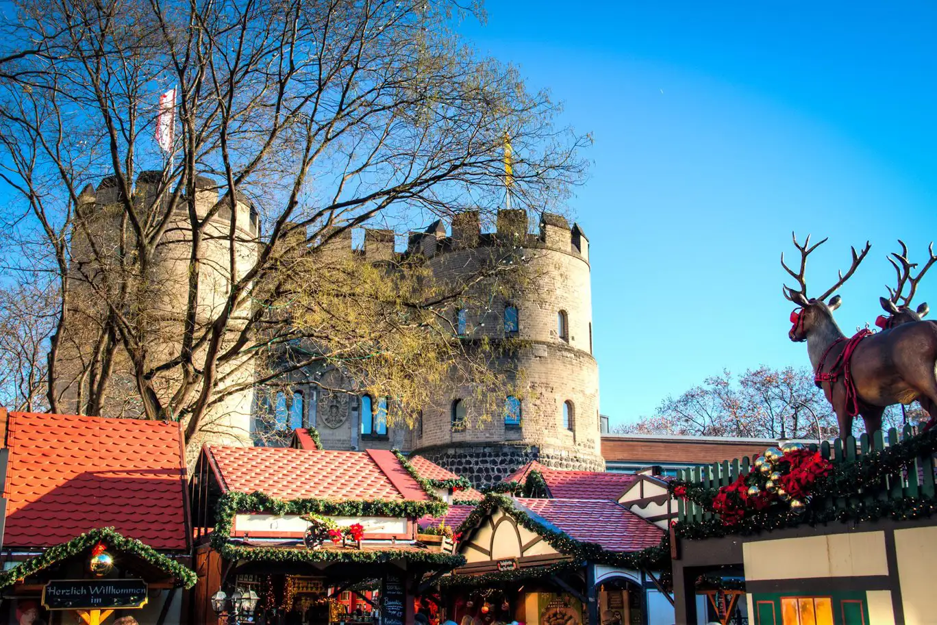 Christmas market in Cologne