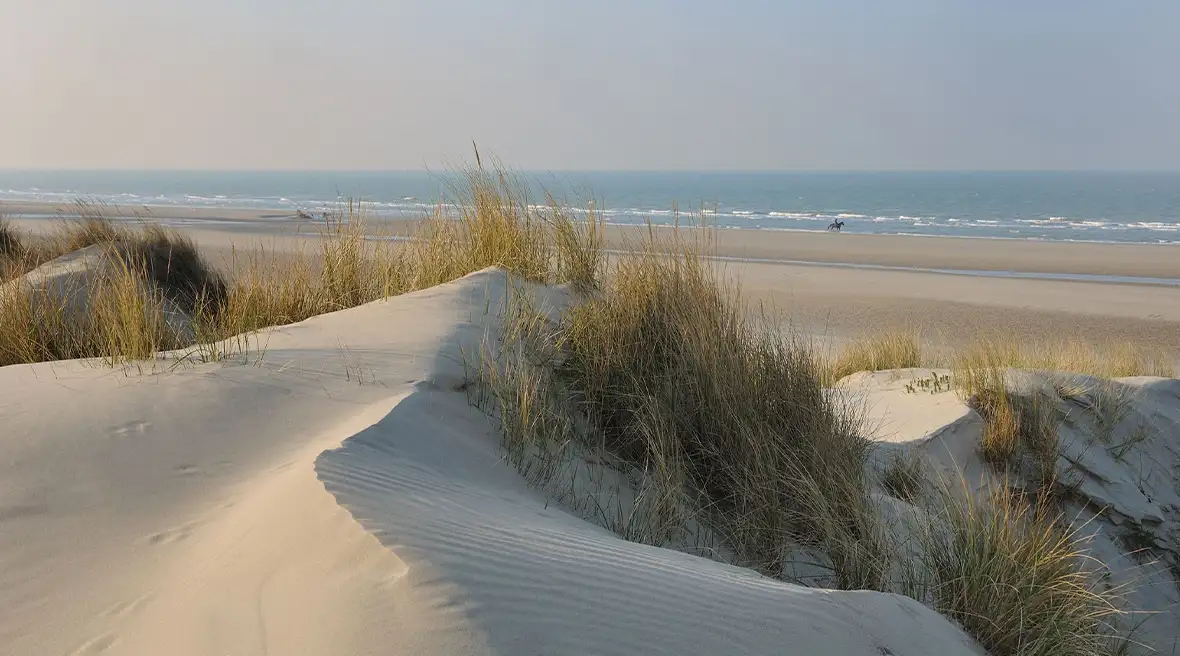 Looking out to sea from the pale sand dunes of Zuydcoote beach