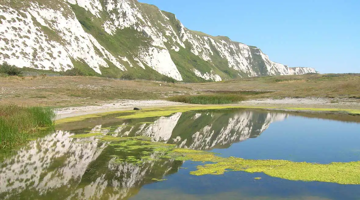 Samphire Hoe, la réserve naturelle d’Eurotunnel Le Shuttle