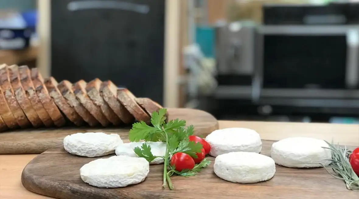 Cheese tastings at the unique Chevrettes du Terril goat farm on a Northern France slagheap