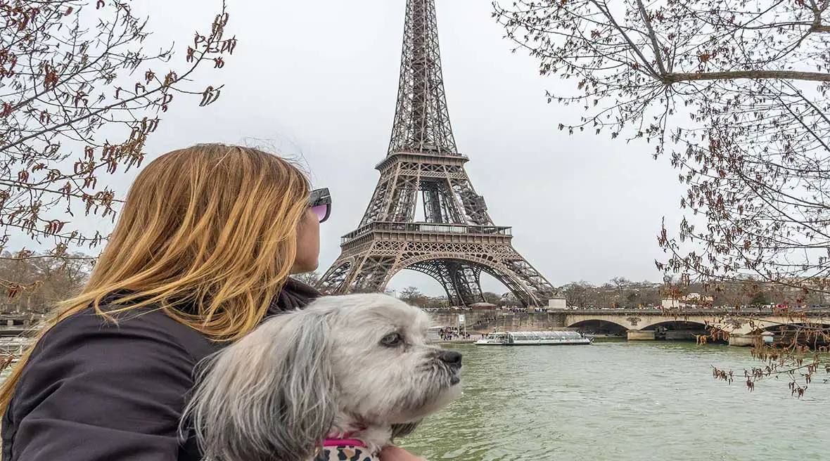 You and your pooch can soak up the streets of Paris together