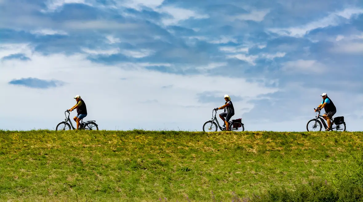 2 black bikes propped up against a flower planter on the pavement