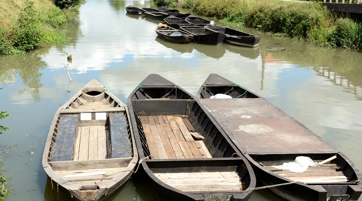 Three flat bottomed boats are moored on a canal with several other boats moored further up the water. Bushes and foliage line the banks.