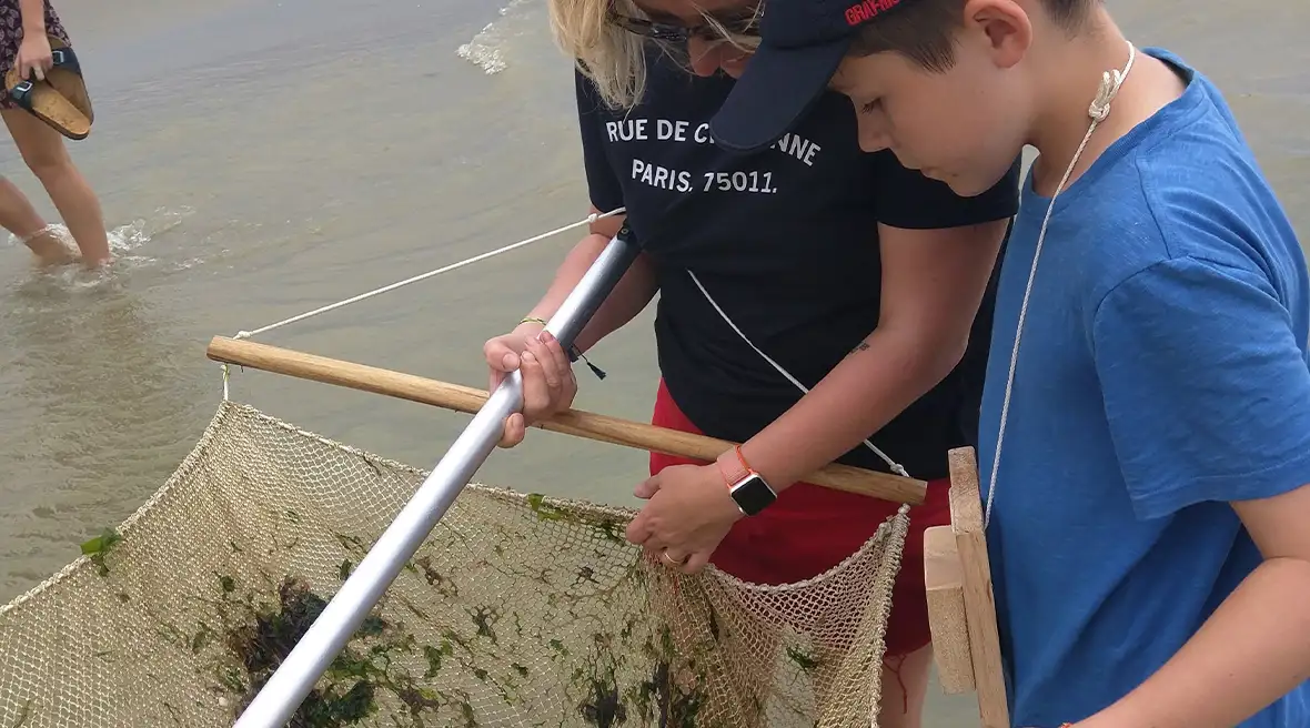A woman and young son examine their shrimp catch in a big handheld net on the shoreline