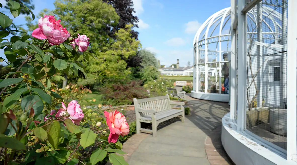 Des serres en forme de dôme avec un banc et des roses au premier plan