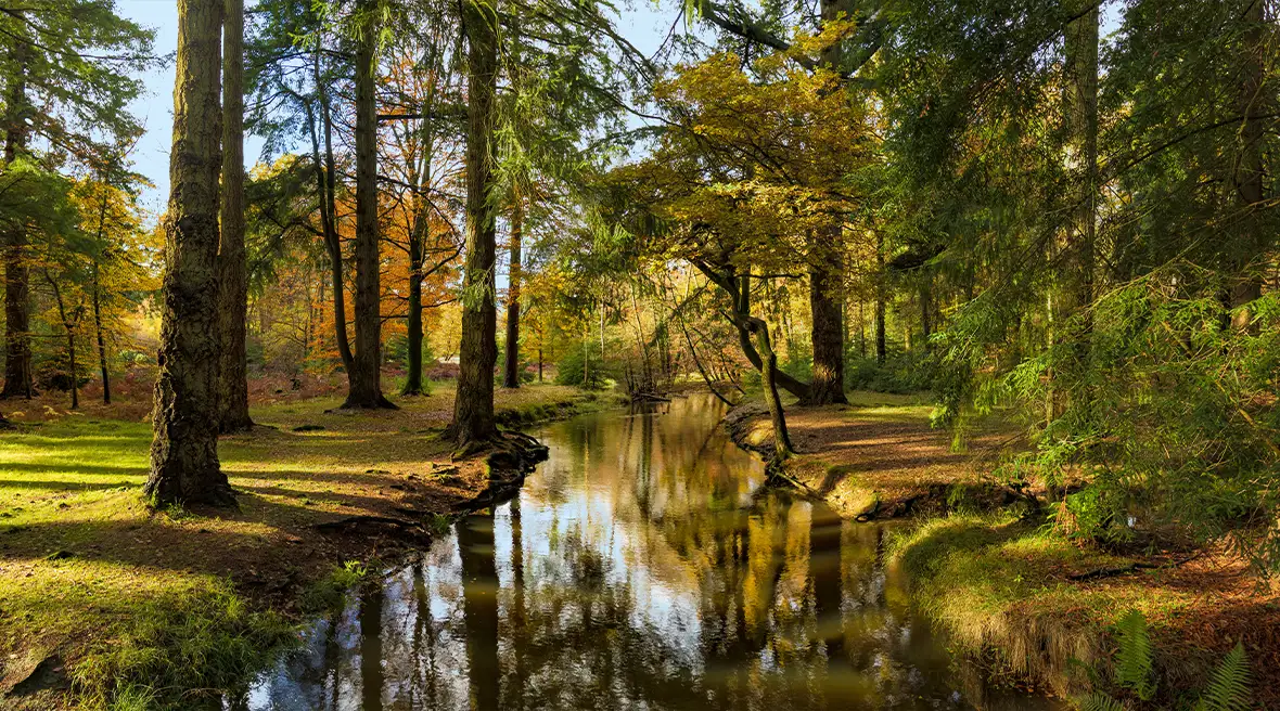Uitzicht op een meer en de omliggende heuvels in het Lake District, Engeland.