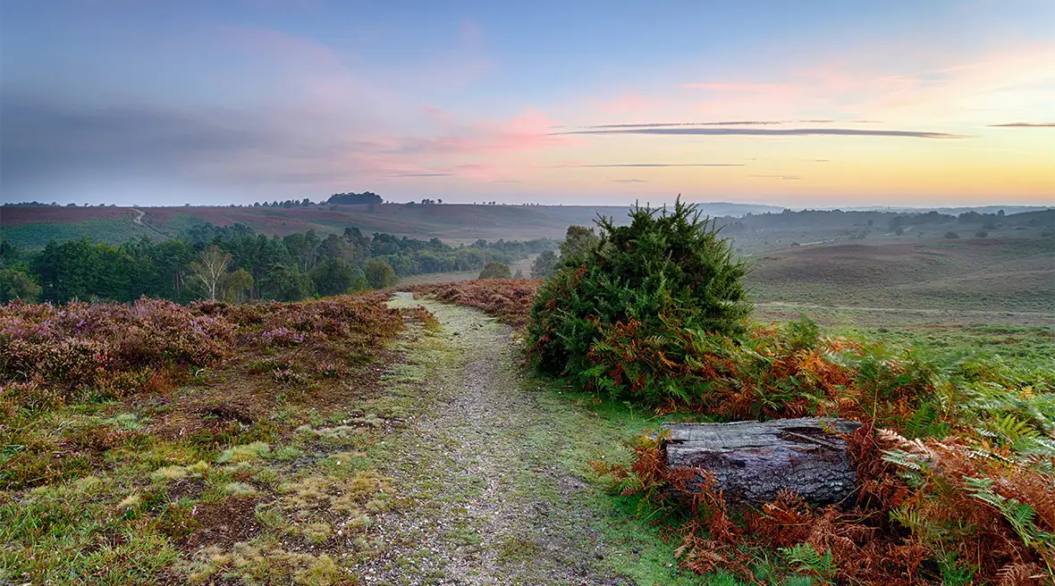 wandelpad over de heide bij zonsopkomst