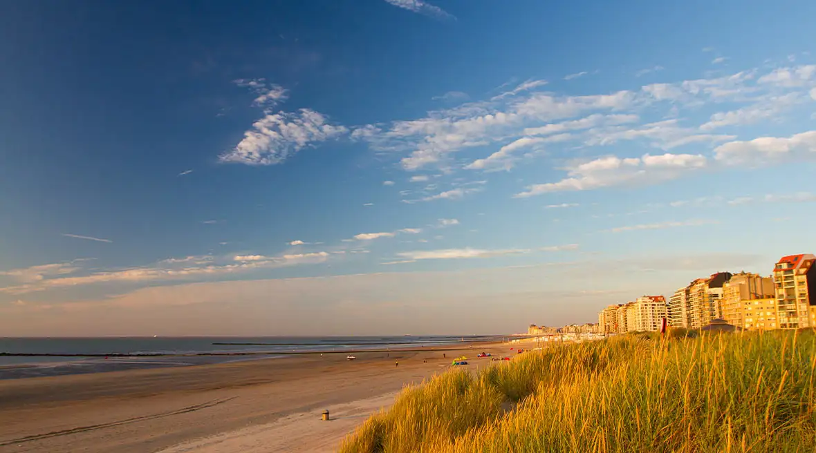 A stretch of golden beach with grass dunes and blue sky overhead