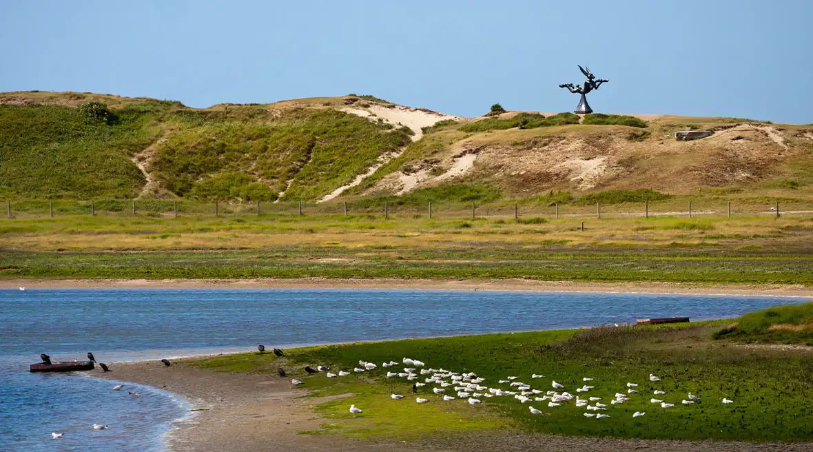 water and hillside under blue skies with white birds settled on the banks of a river