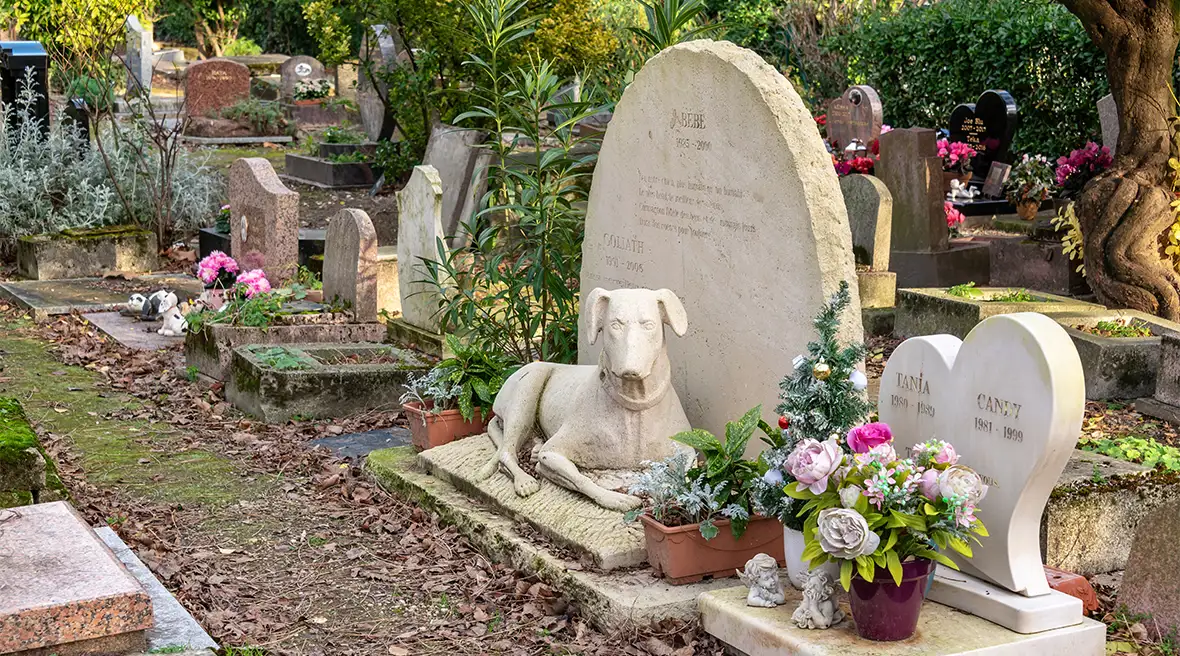 A pale stone grave is adorned with a big statue of a dog. Surrounding graves are decorated with pink flowers