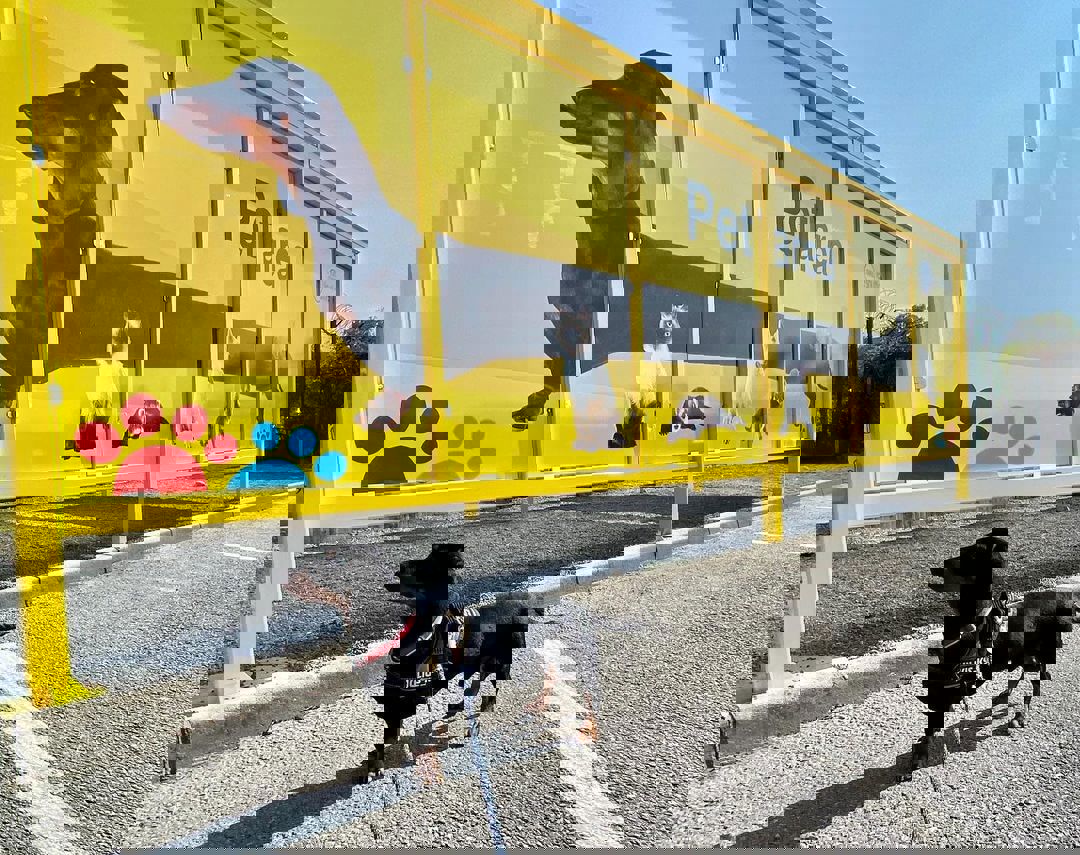 Bring your pet to one of our Pet Areas so they can stretch their legs