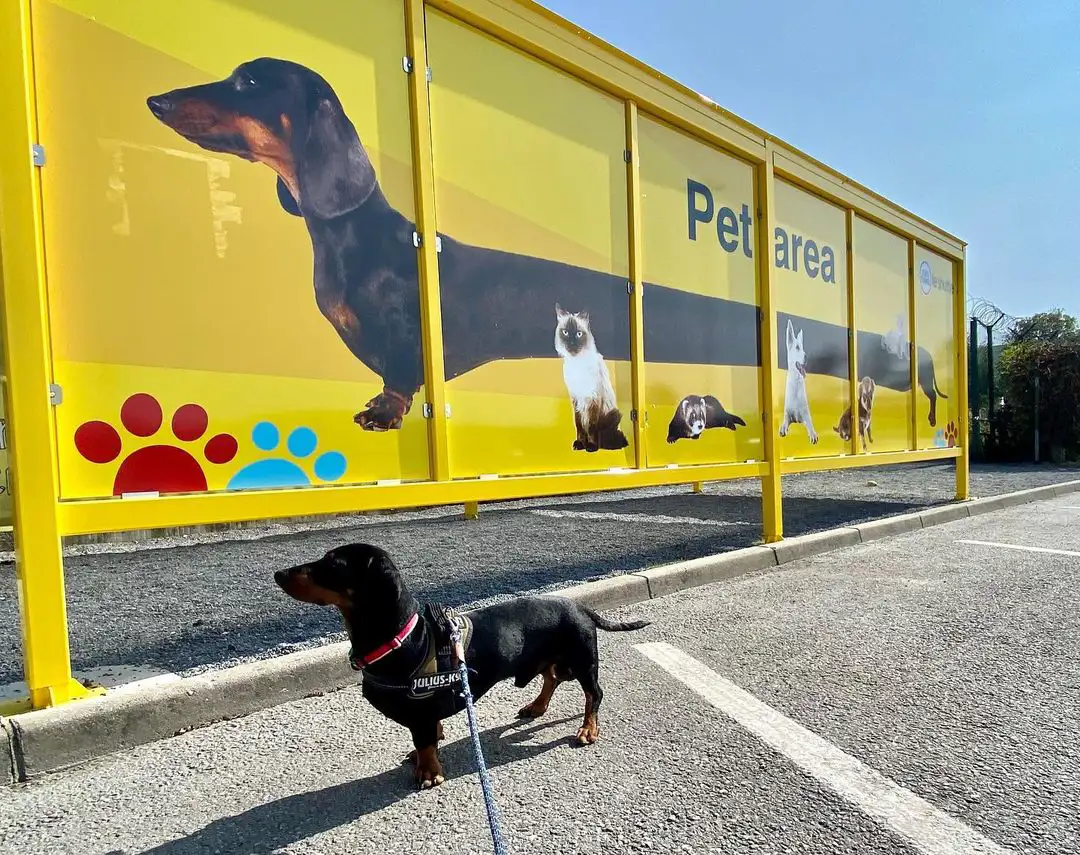 Bring your pet to one of our Pet Areas so they can stretch their legs