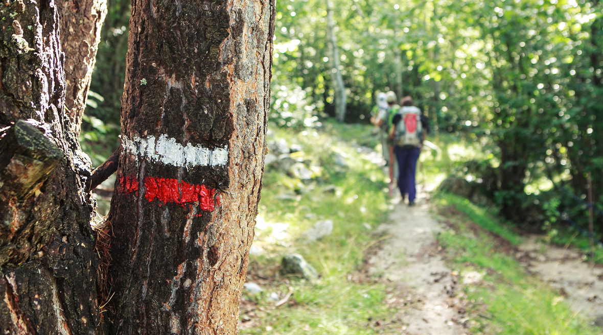 People hiking along a shady trail in the Pyrenees mountains