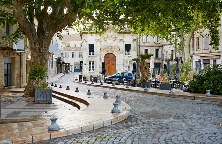 A winding cobbled street with trees and ornate buildings lining it