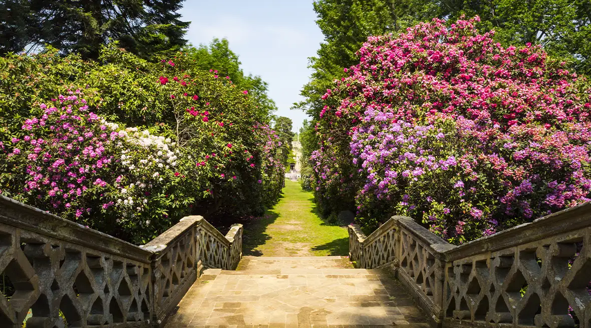 Waan jezelf terug in de tijd in de tuinen bij Hever Castle.