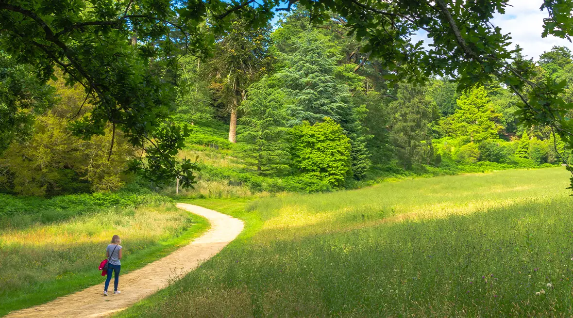 Genoeg opties voor mooie wandelingen in Wakehurst Place