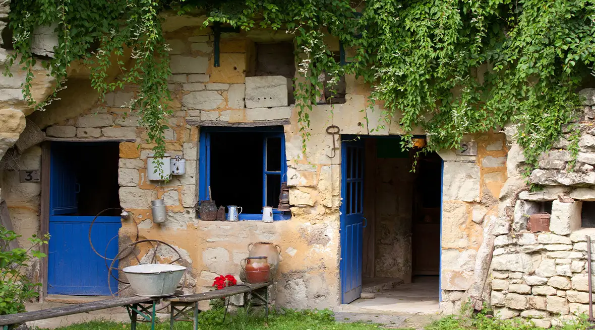 A stone dwelling with foliage above the blue door and window frames, and greenery in front