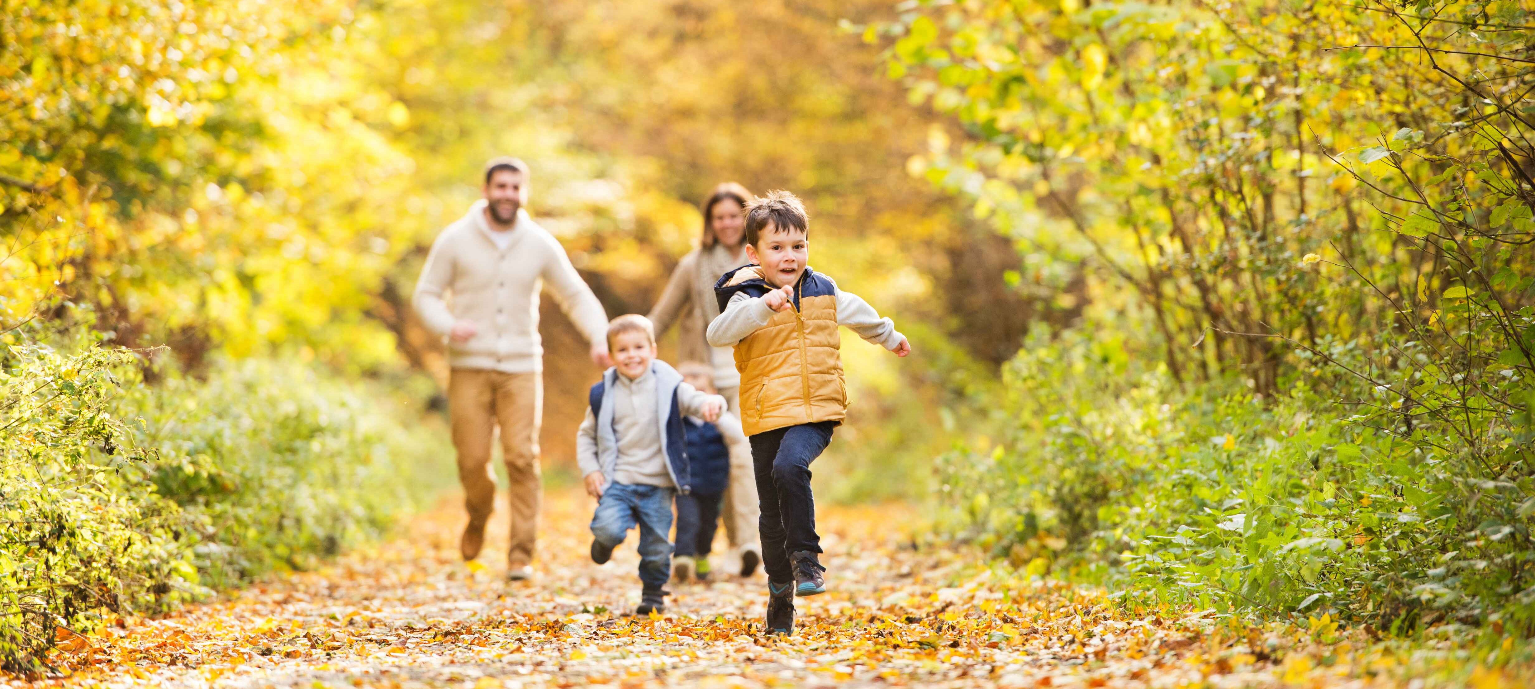 Center Parcs Holidays in Belgium