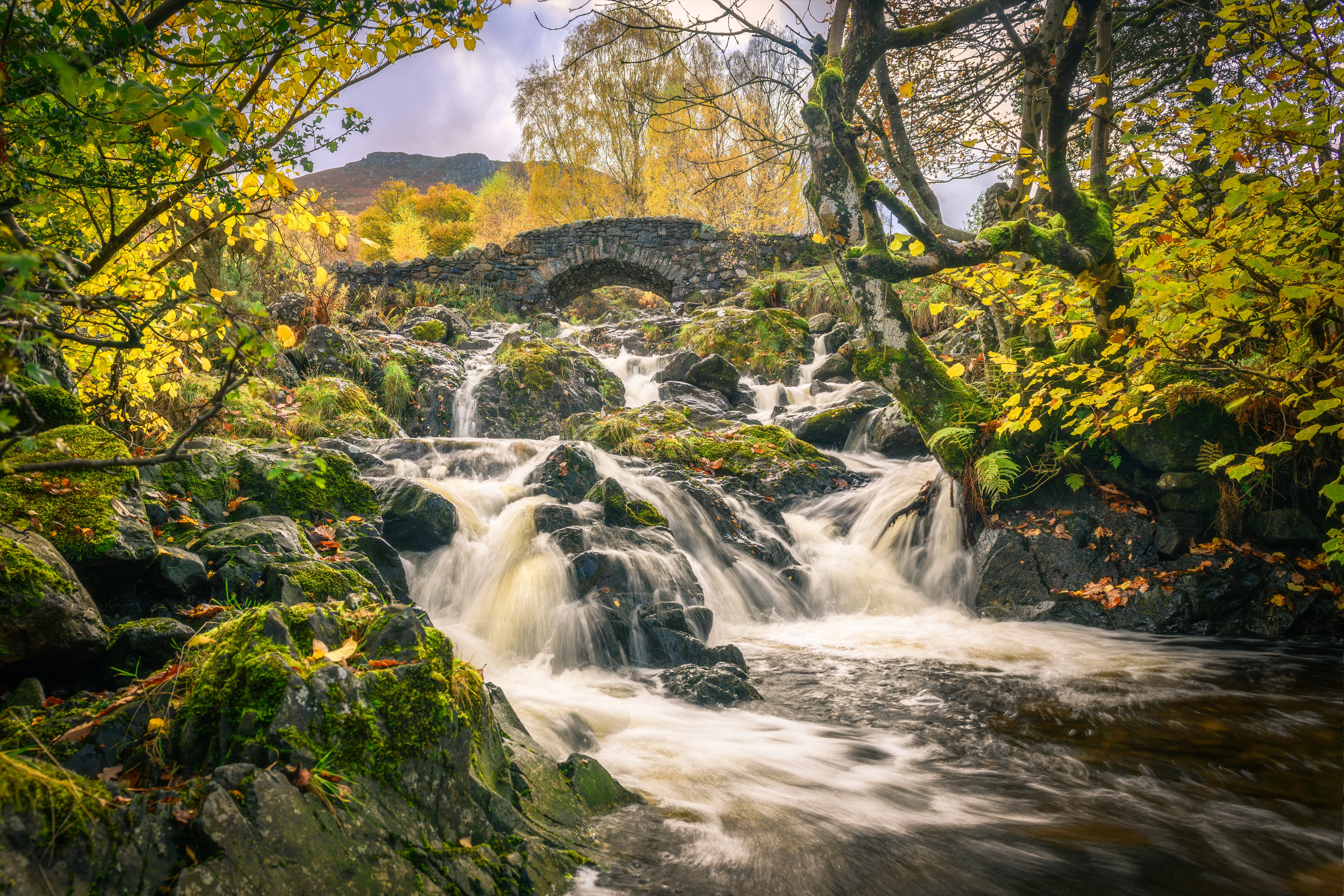 Ashness Bridge, un pont traditionnel en pierre entouré de feuillage verdoyant sous lequel l’eau tombe en cascade.