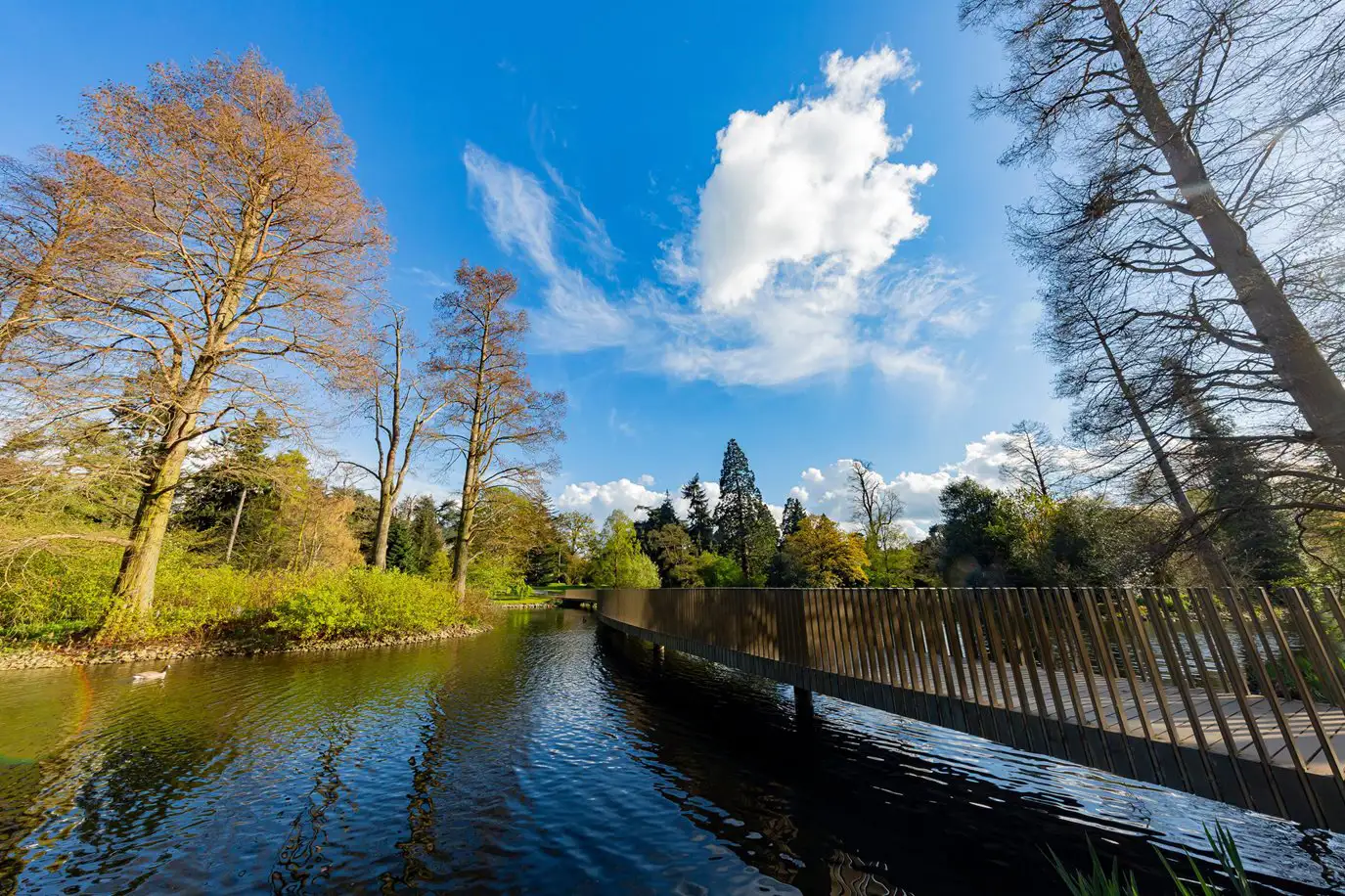 Brücke über den See in den Kew Gardens.