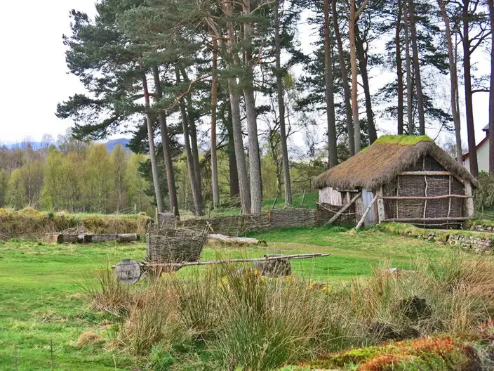 Primitief gebouw met een rieten dak in een openluchtmuseum.
