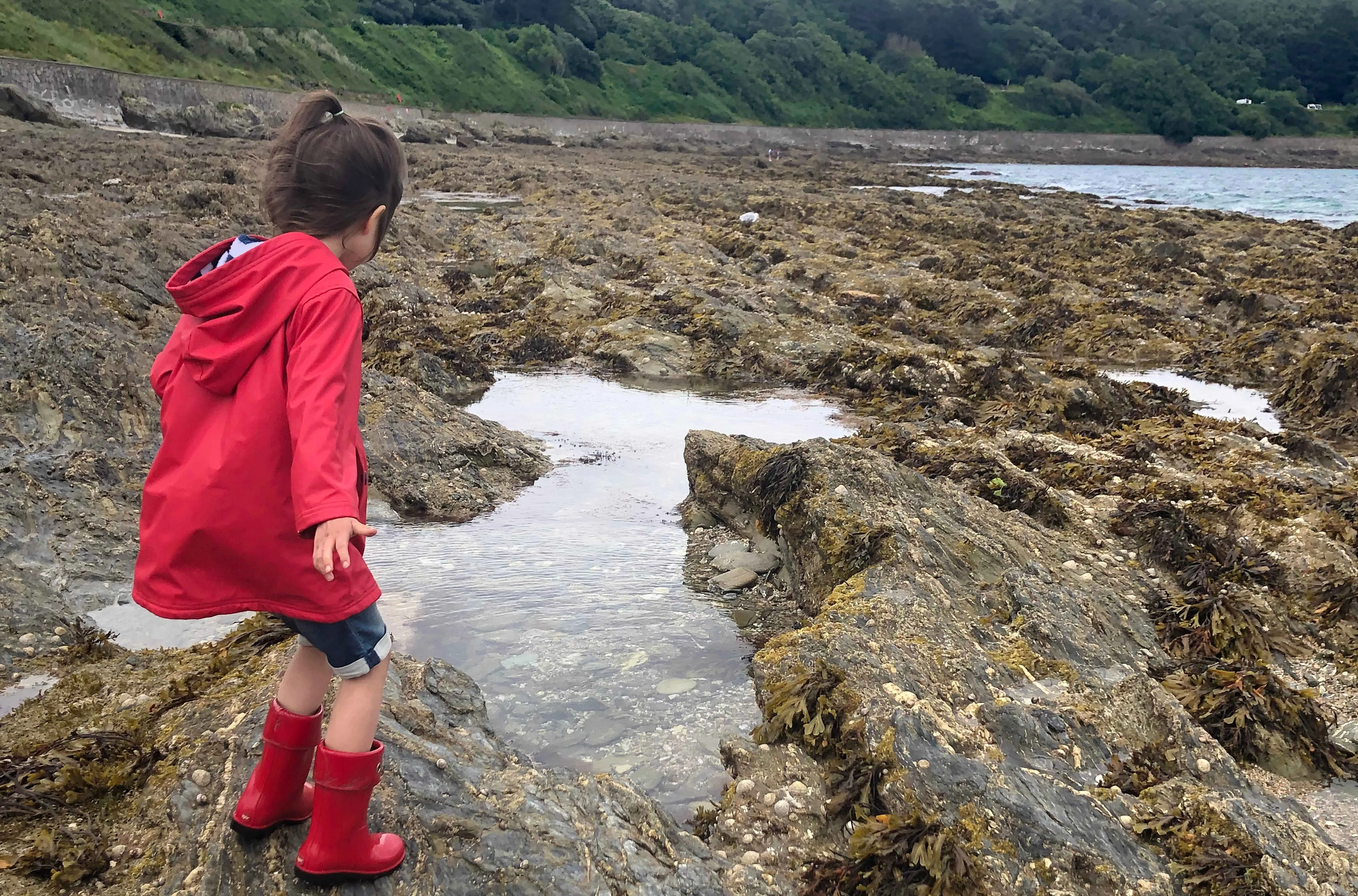 Une jeune fille dans un imperméable rouge et des bottes qui explore un bassin rocheux à la recherche de la vie marine.