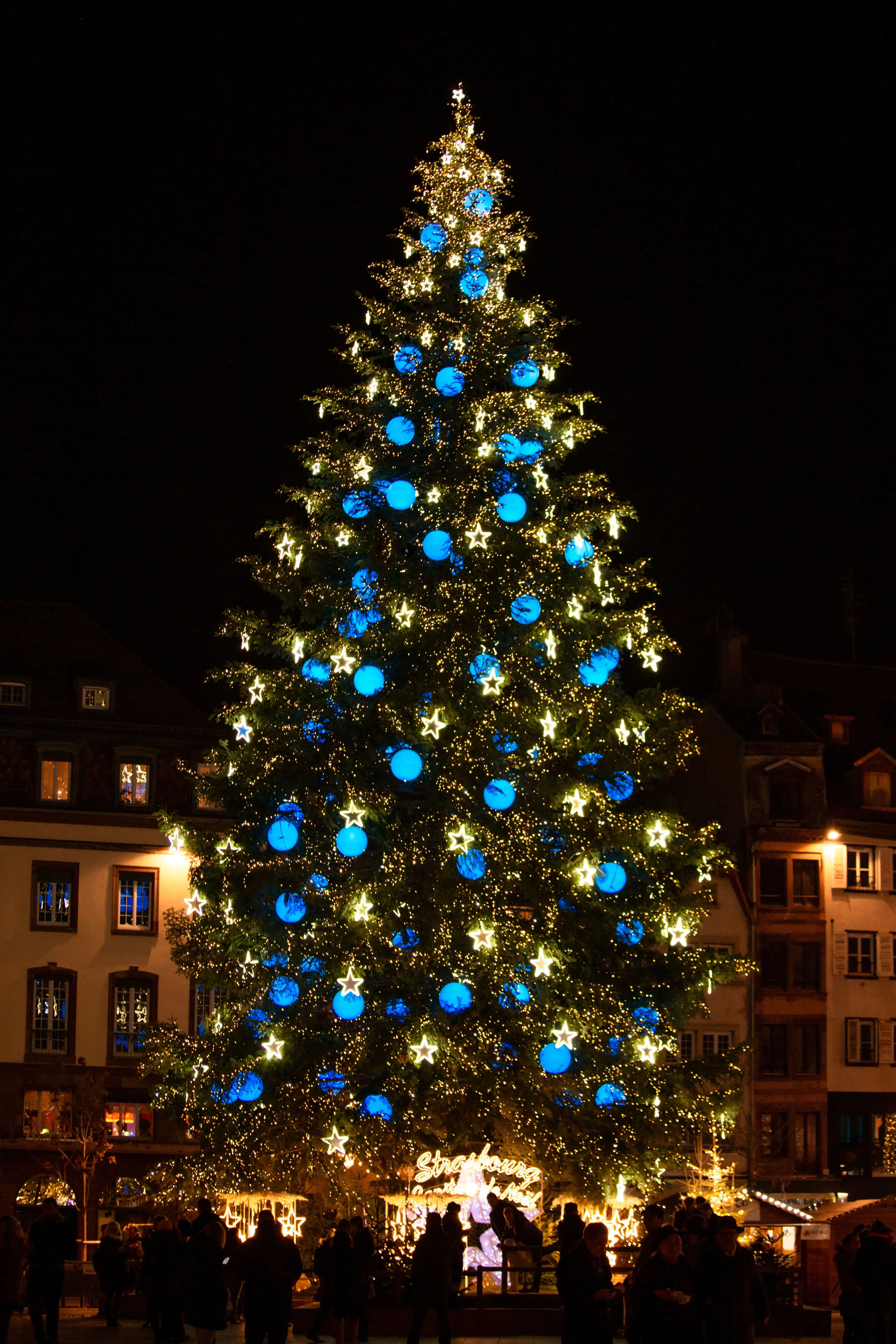 The giant Christmas tree in Place Kléber, Strasbourg, adorned with lights, ornaments, and festive decorations.