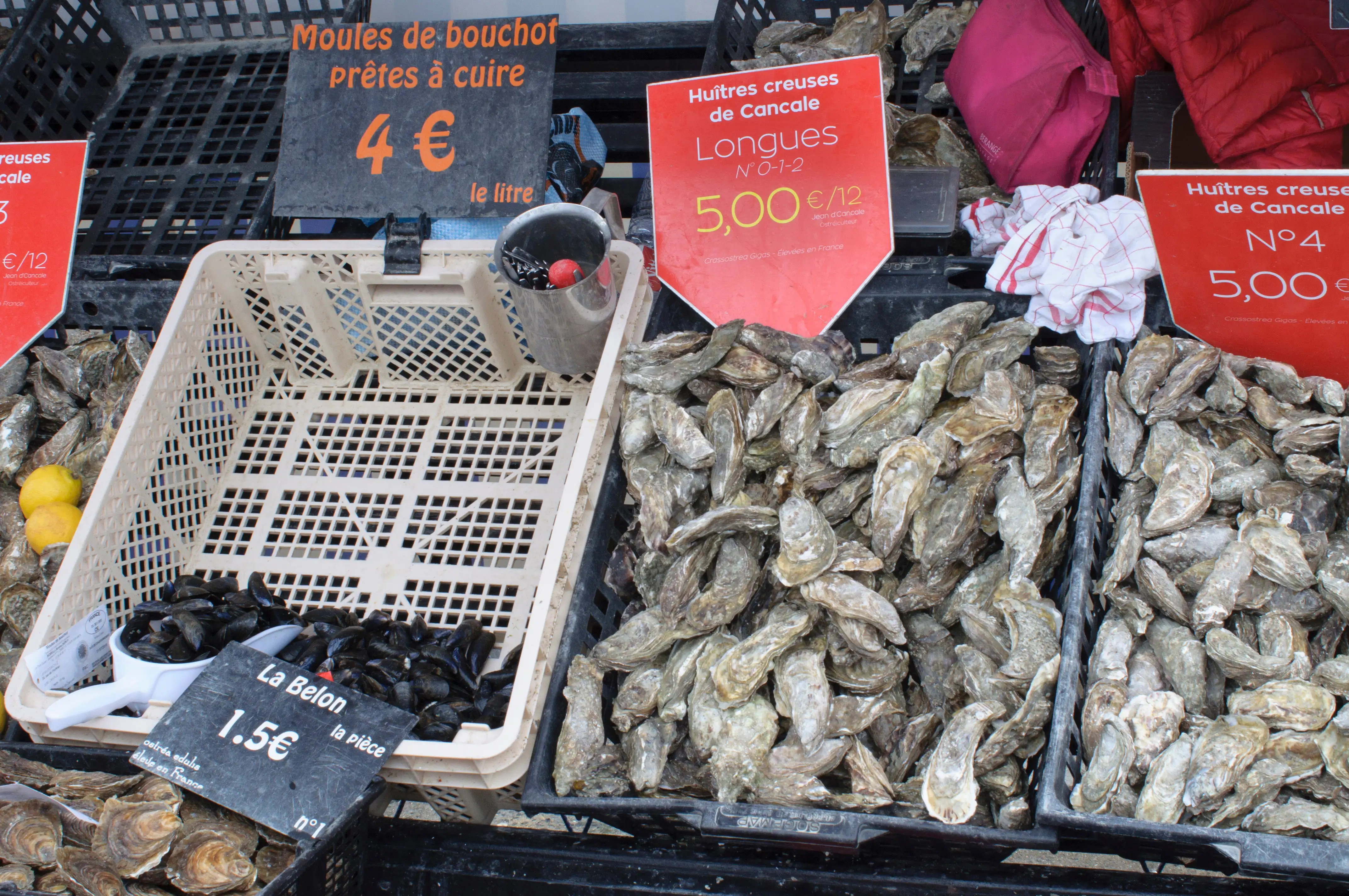 Mussels and oysters being sold at a market stall in Brittany